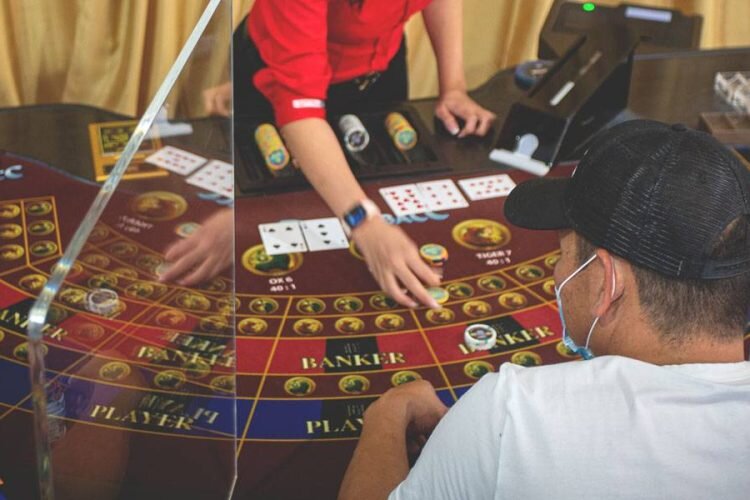 Vip555 Taruhan Bola Panduan Lengkap